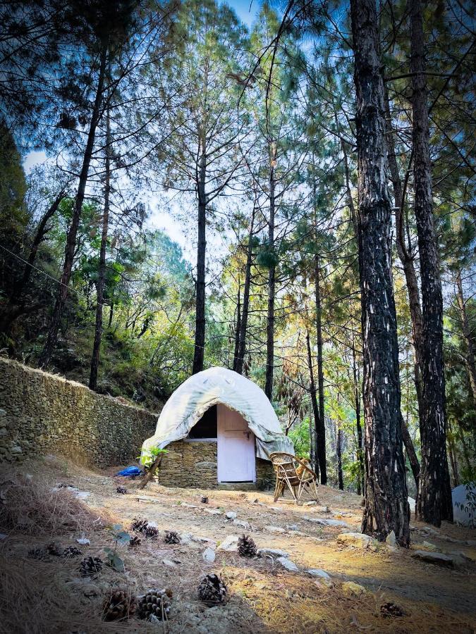 Forest Bugyal Pauri