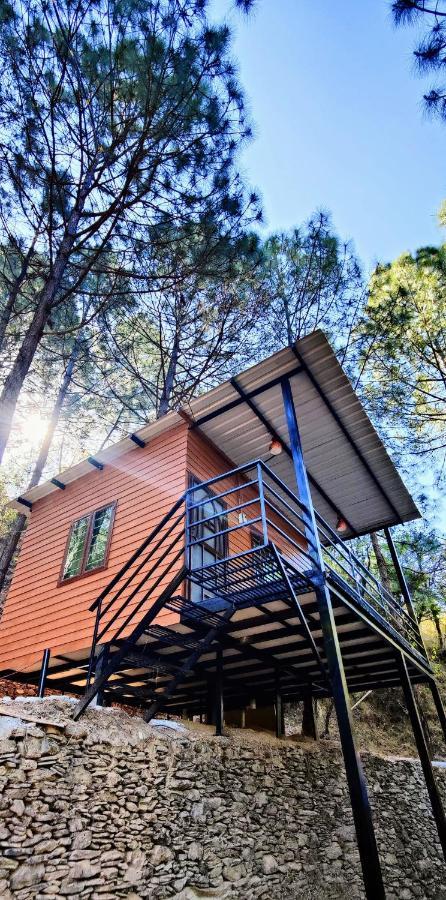 Forest Bugyal Country house *