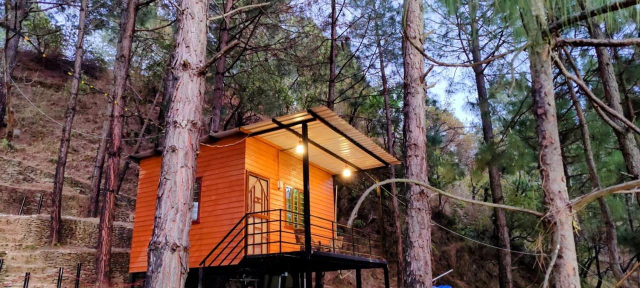 Forest Bugyal